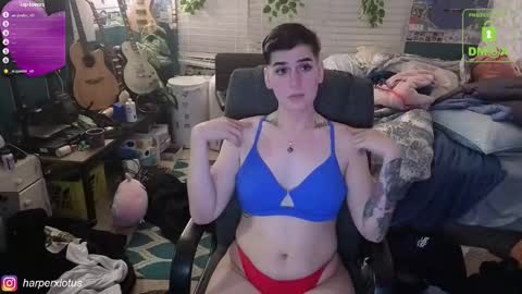 HarperxLotus online show from 12/04/25, 02:54