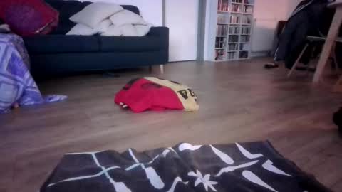 Snapshot of gaypuppychaste chatting on 12/23/25, 04:32 gaypuppychaste online show from 12/23/25, 04:32