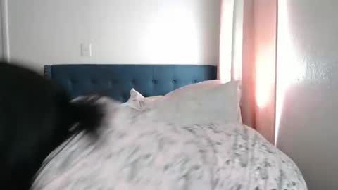 Snapshot of geishapaige chatting on 03/02/25, 06:19 The Empress online show from 03/02/25, 06:19