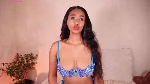    online show from 07/14/26, 02:05