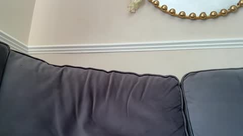 gemmaxox1 online show from 06/24/26, 09:41