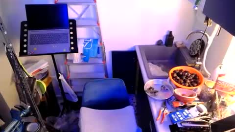 georgempt online show from 01/12/25, 07:42