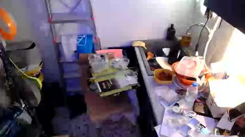 georgempt online show from 01/18/25, 09:24