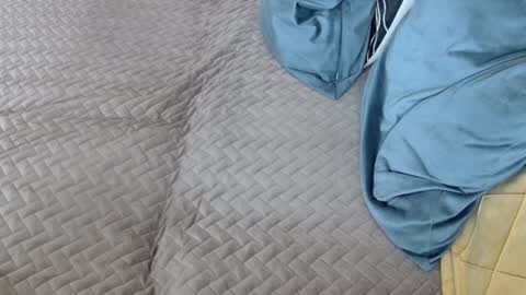 Snapshot of georgiapeachgirl chatting on 02/17/26, 11:29 Melissa online show from 02/17/26, 11:29