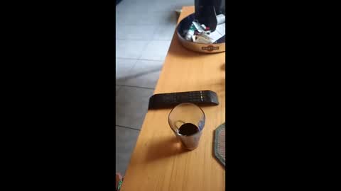 Snapshot of gergokertesz chatting on 12/24/24, 12:55 gergokertesz online show from 12/24/24, 12:55