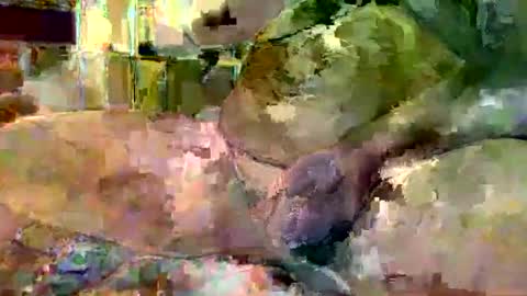 Snapshot of gergokertesz chatting on 01/16/25, 03:02 gergokertesz online show from 01/16/25, 03:02