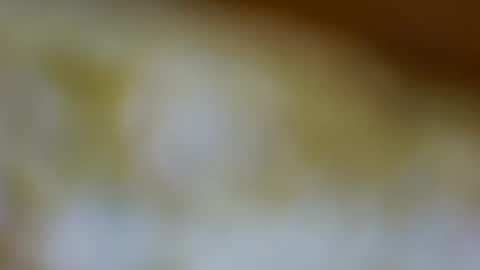 germanandy71 online show from 11/03/25, 01:34