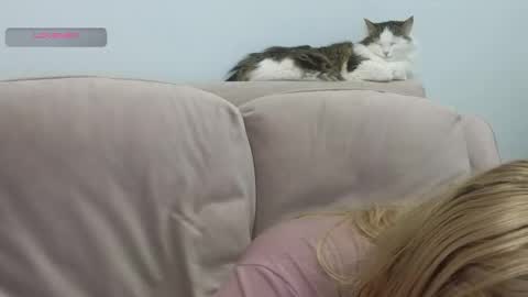 Gerta online show from 02/20/26, 09:15