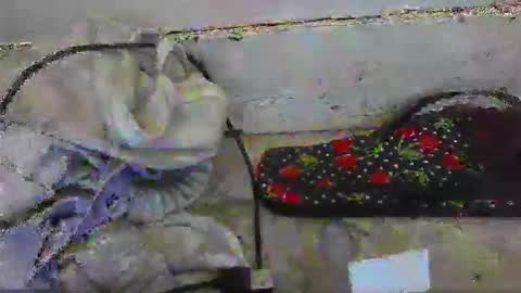 gezuz42069 online show from 05/03/26, 11:22