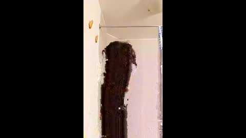 Snapshot of ggggu495826 chatting on 02/10/26, 02:32 ggggu495826 online show from 02/10/26, 02:32