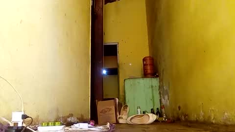 Snapshot of ghabriel7777788 chatting on 11/14/25, 06:50 Gaby online show from 11/14/25, 06:50