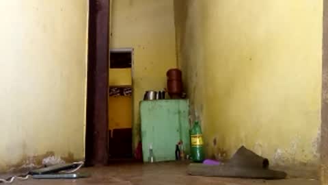 Snapshot of ghabriel7777788 chatting on 01/15/26, 06:00 Gaby online show from 01/15/26, 06:00