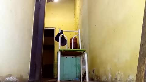 Gaby online show from 02/23/26, 02:58