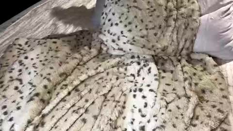 Snapshot of giaa4everr chatting on 11/07/25, 11:49 Giaa4ever online show from 11/07/25, 11:49