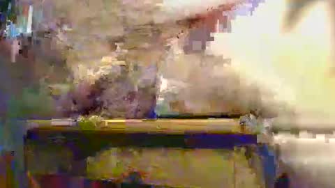 Snapshot of gibette chatting on 12/01/25, 01:38 Ptite bite online show from 12/01/25, 01:38