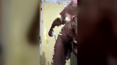 gifted online show from 04/06/26, 07:31