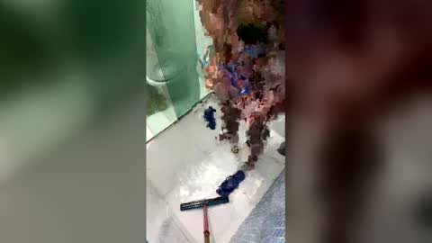 gifted online show from 04/20/26, 07:00