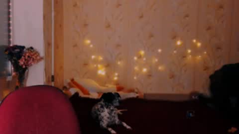 Emm online show from 12/20/24, 11:37