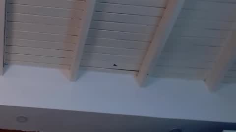 gigi wilden online show from 02/19/25, 08:20