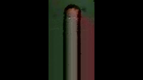gimedat7412 online show from 03/15/26, 07:47