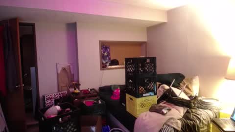 ginger_binj online show from 10/08/25, 06:00