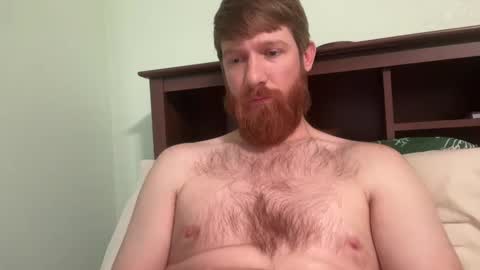 gingermania10 online show from 12/19/24, 07:40