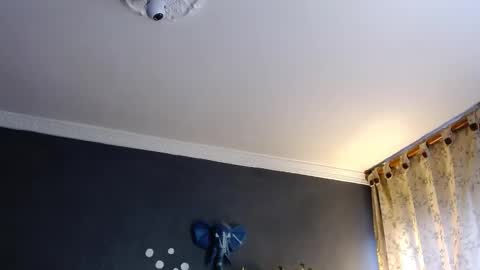 Snapshot of girge23 chatting on 01/31/25, 08:54 piggy boy online show from 01/31/25, 08:54