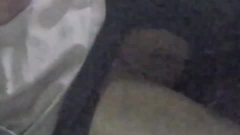 Snapshot of girlscallme666 chatting on 09/09/25, 03:33 lovegirlscallme online show from 09/09/25, 03:33