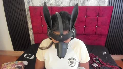 Snapshot of gisellholden_ chatting on 05/20/26, 01:17 gisellholden_ online show from 05/20/26, 01:17