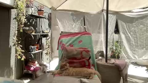 Gl1tter Barbie online show from 11/22/25, 08:57