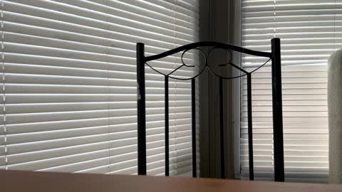 glazehoney online show from 01/10/25, 05:02