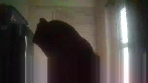 gloriakisibo548 online show from 04/18/26, 09:24