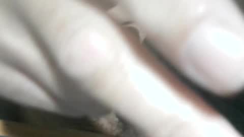 Glyder online show from 11/14/25, 03:33