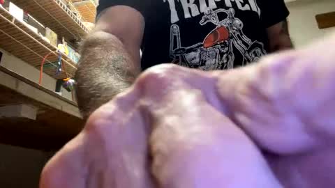 Snapshot of gngnxxx chatting on 10/23/25, 04:45 gngnxxx online show from 10/23/25, 04:45