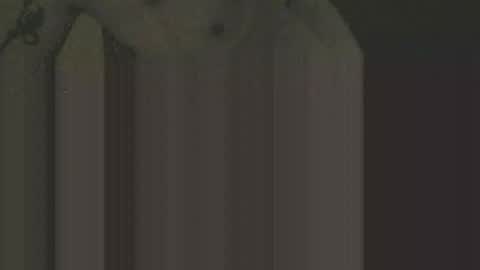 gnz310388 online show from 02/12/26, 01:11