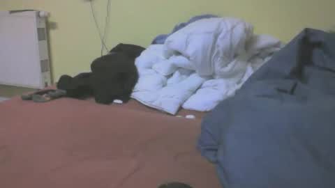 gnz310388 online show from 03/04/26, 07:20