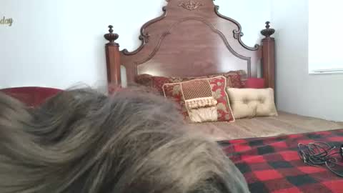 Xandra The Goddess online show from 03/19/26, 01:26