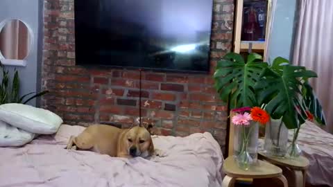 Snapshot of goddessjojo4u chatting on 04/04/26, 01:15 Goodess Jojo online show from 04/04/26, 01:15