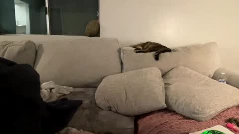 GoddessMayvn online show from 02/03/25, 09:52