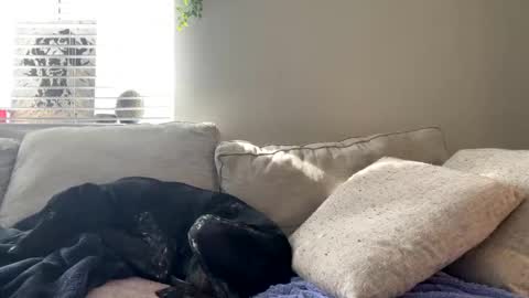 GoddessMayvn online show from 02/17/25, 09:52