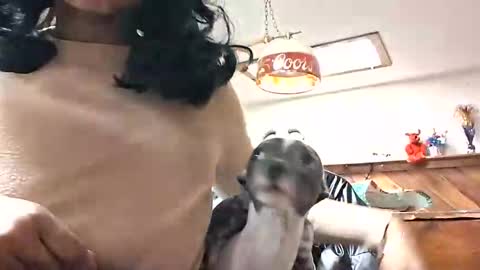 goddessxxamina online show from 01/13/26, 04:29