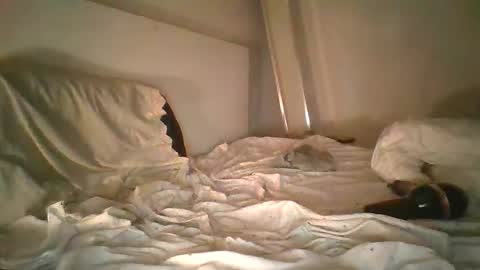 Snapshot of godonsin chatting on 12/17/24, 07:50 godonsin online show from 12/17/24, 07:50