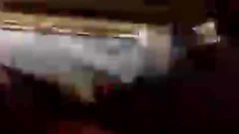 gogome794 online show from 06/28/26, 12:27