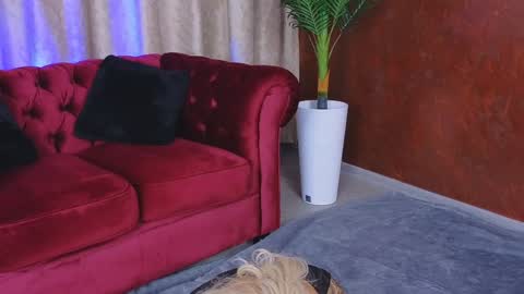 Snapshot of goldenamberx chatting on 01/29/25, 05:19 GoldenAmberX online show from 01/29/25, 05:19