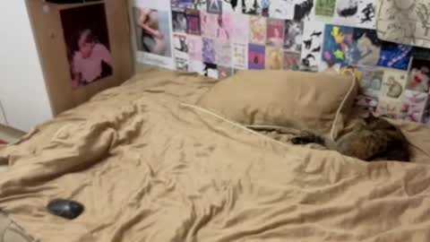 Amy online show from 07/10/26, 06:32