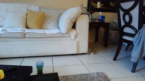 gothbaby305 online show from 09/16/25, 05:58