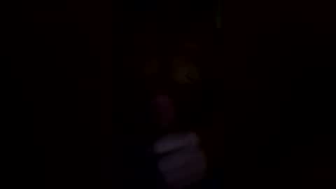 Snapshot of gp4201 chatting on 03/15/26, 01:17 gp4201 online show from 03/15/26, 01:17