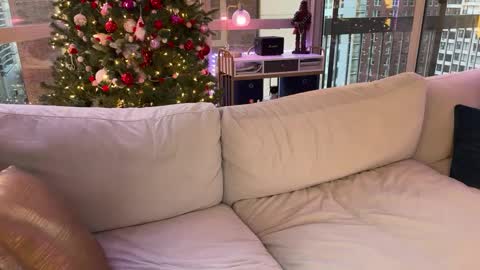 Snapshot of graciemae_baexx chatting on 01/17/25, 10:23 Gracie Mae online show from 01/17/25, 10:23