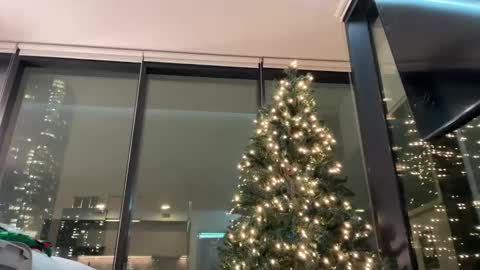 Snapshot of graciemae_baexx chatting on 12/03/25, 11:36 Gracie Mae online show from 12/03/25, 11:36