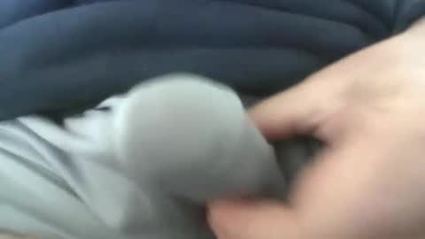 gr8head online show from 04/07/26, 03:01